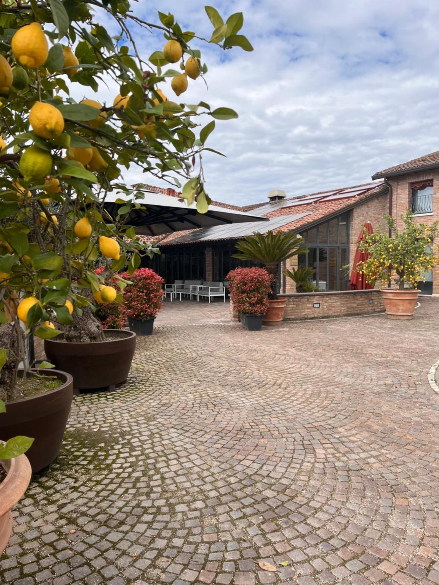 Agriturismo La Sapienza Monestirolo Exterior foto